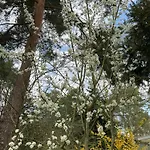 Waldtraum Wandlitzsee Wandlitz