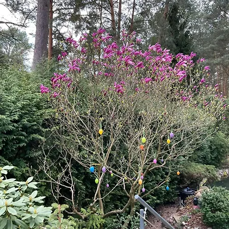 Waldtraum Wandlitzsee Apartament