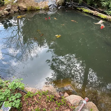 Apartment Waldtraum Wandlitzsee *