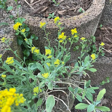 Waldtraum Wandlitzsee *