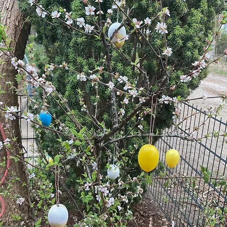 Waldtraum Wandlitzsee * Wandlitz