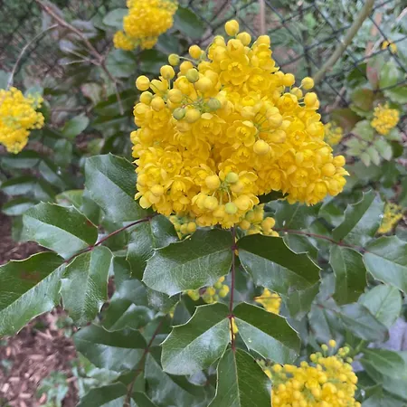 Waldtraum Wandlitzsee Apartment