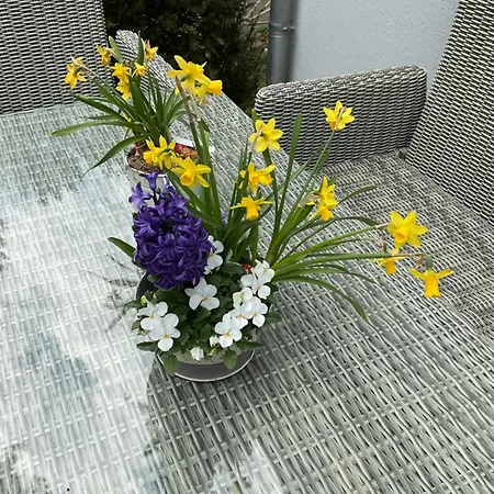 Apartmán Waldtraum Wandlitzsee