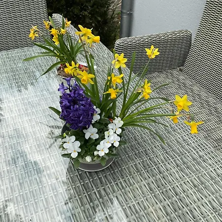 Apartment Waldtraum Wandlitzsee