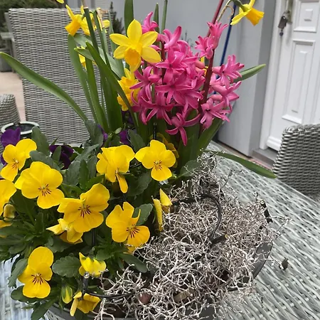 Waldtraum Wandlitzsee Apartament *