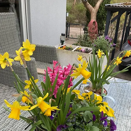 Waldtraum Wandlitzsee *