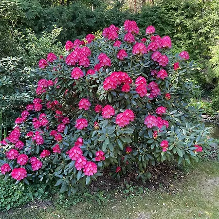 Waldtraum Wandlitzsee Wandlitz