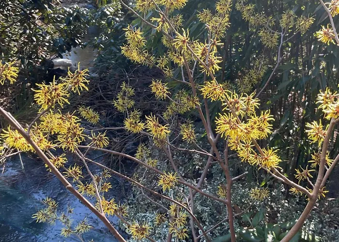 Waldtraum Wandlitzsee Appartement *