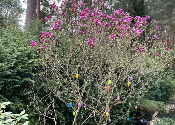 Waldtraum Wandlitzsee Apartment