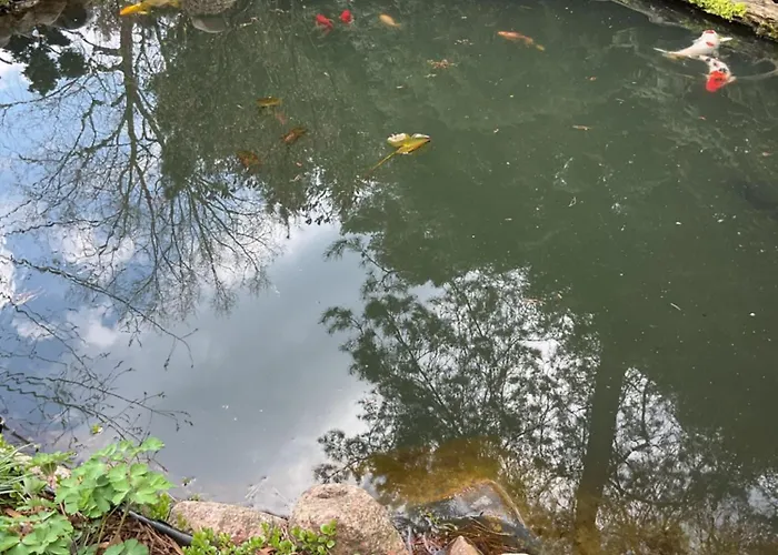 公寓 Waldtraum Wandlitzsee *