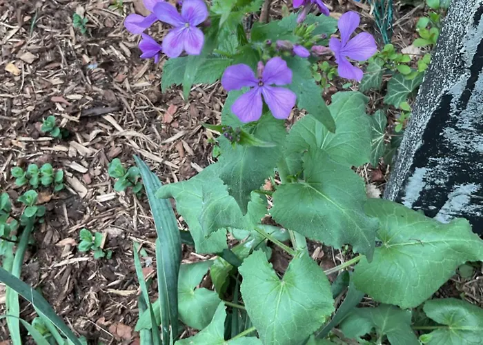 Waldtraum Wandlitzsee شقة *