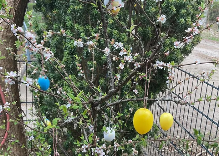 Waldtraum Wandlitzsee * Wandlitz