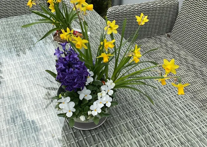 Appartement Waldtraum Wandlitzsee