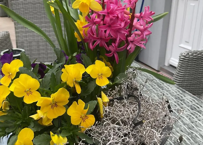 Waldtraum Wandlitzsee Appartement *