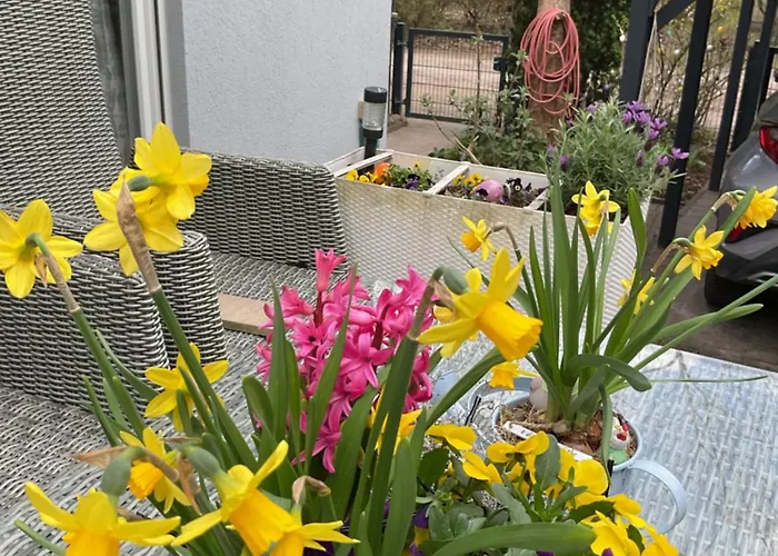 Waldtraum Wandlitzsee *