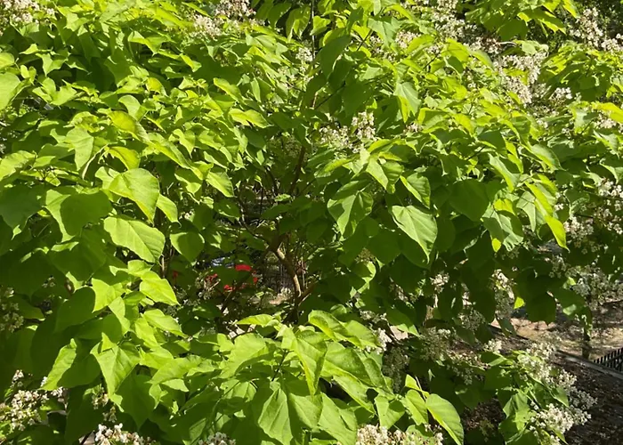 Waldtraum Wandlitzsee فاندليتس