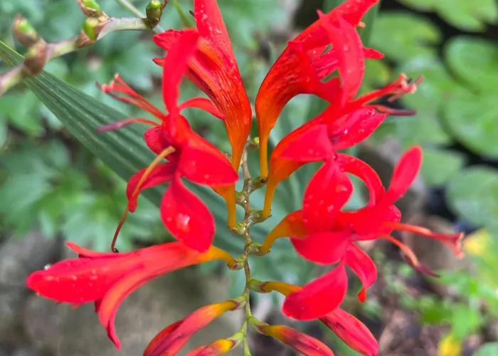 Apartment Waldtraum Wandlitzsee