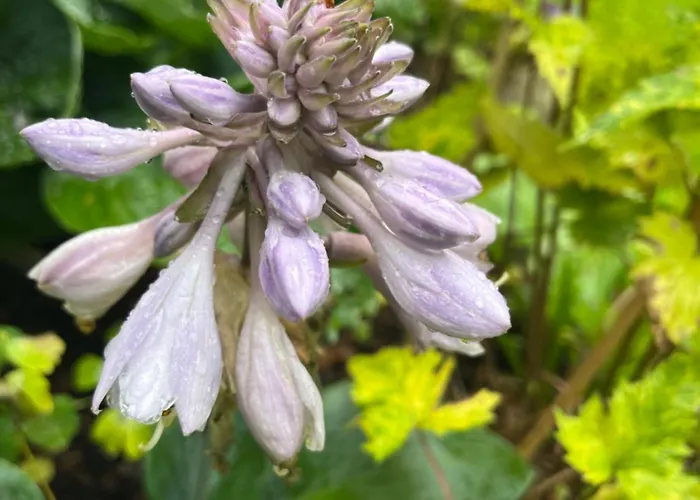 Waldtraum Wandlitzsee Appartement *